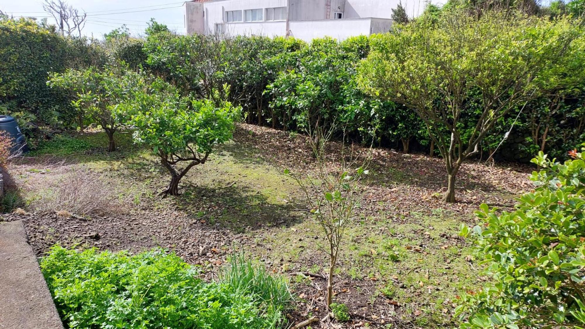 Retiro Das Camelias 1 Lajes das Flores Exteriör bild