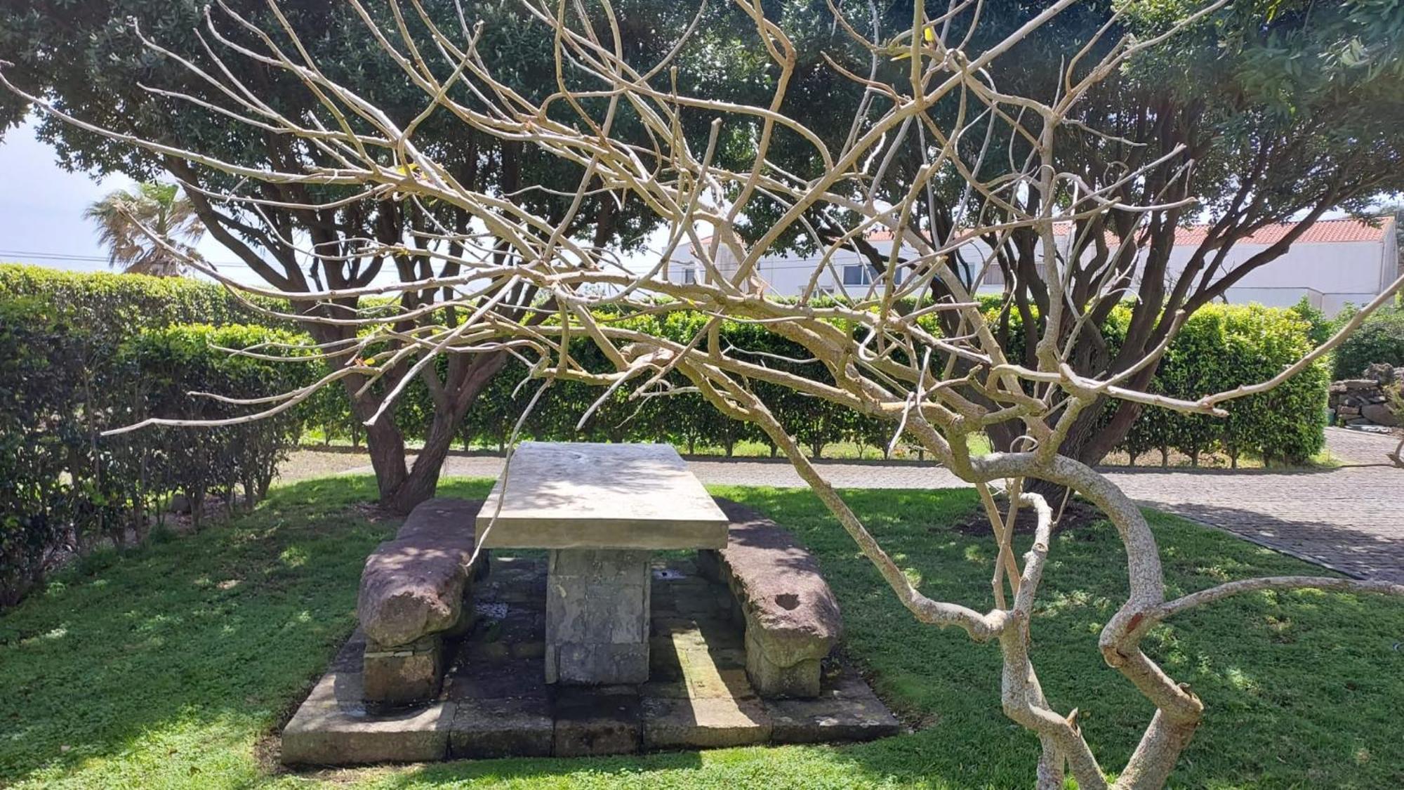 Retiro Das Camelias 1 Lajes das Flores Exteriör bild